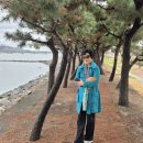 순천만황토한옥샘터 | (광양의 비경)배알도 &선암사_봄꽃여행 2일차_0404