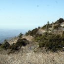 역고드름 이미지