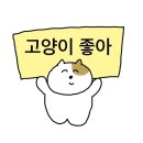 대영정비 | 엔시티위시 2주년 팬미팅 낮공 후기 💍🌞