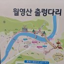 월영산출렁다리 (1/2) 이미지