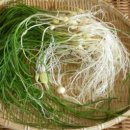 달래네 하우스 이미지