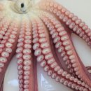 조광상회 이미지