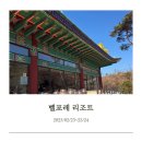 덕산목장 | 벨포레 리조트(교동식당, 미디어아트, 브리스킷 346, 남도예담, 목장, 투썸)