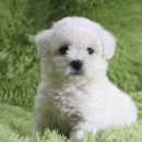 하가농장 이미지