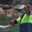 섬마을2 이미지