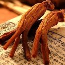 홍삼건강원 이미지