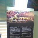 맘모스플레이 주식회사 | 2021년 춘천 내일로 서포터즈 후기 2편