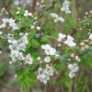 스카이마당 이미지