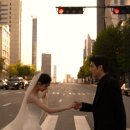 고즈헤어 이미지