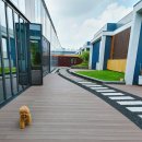 정원 퍼피 하우스 이미지