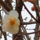 청도강변돌고래펜션 이미지