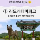 운림삼별초공원(한옥체험1) | 🌊 오늘은 진도로 떠나요