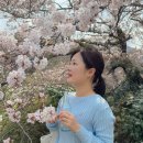 아리마온천 당일치기 후기, 오사카에서 편하게 다녀온 방법