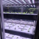 오토팜 | 상도역 샐러드 맛집 추천_'메트로 팜' 솔직 후기