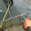 관리낚시터 이미지