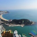 NEW리치부동산공인중개사사무소 이미지