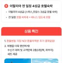 프라우 티스토리