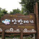 물내치기 이미지