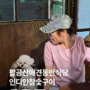 동명카서비스 | 팔공산 애견동반 식당 동산계곡근처 고기집 인디안참숯구이