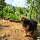 원주굽이길 8코스 흥원창길 이미지