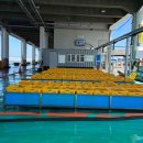 주문진항 이미지