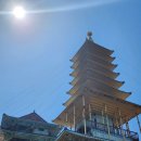 태안군민체육관 매점 | 태안 안면암 벚꽃 현황