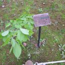 우남동입구 서측3가 | [서울 가볼만한 곳] 종묘 (국가유산해설사 관람 후기)