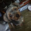 혜화동로터리 이미지