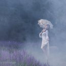 노송목장 이미지