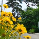 외사경로당 이미지