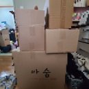 청약국 | [자취일기]청년 특화형 매입임대주택, 청약 당첨과 입주 후기