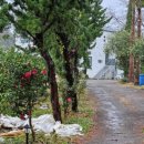 오쇼 하우스 이미지