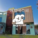 아로마리조트제주유스호텔 | [제주] 제주 애월 마사지 끝판왕, 애월테라피 아로마 마사지 가격 및 솔직 후기