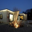 수수다올 이미지