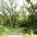 성주호 둘레길 독용산성길 코스 이미지