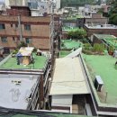 중앙동204 이미지