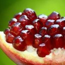 노화농장 이미지