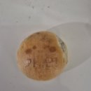 문수중학교 | 오랭만.