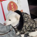 강동원약국 이미지