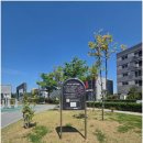 도루메 어린이공원 네이버블로그