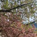 CU동서대점 이미지