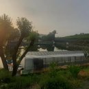 유동낚시터 이미지