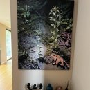 브레스힐C 이미지