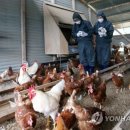 방대농장 이미지