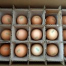 숲속청계농장 이미지