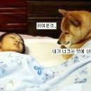 듀 이미지