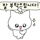 토리헤어 이미지