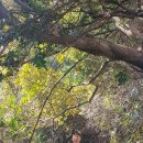 토산2리경로당 이미지