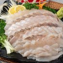 광어삼촌 이미지