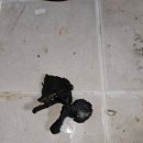 구성2로 이미지